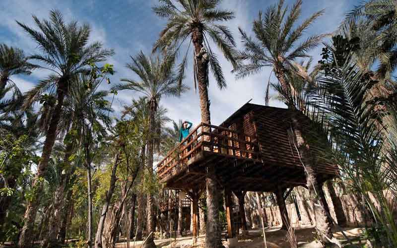 5 idées d'escapades authentiques pour les vacances d'hiver en tunisie Chalet Restaurant idées