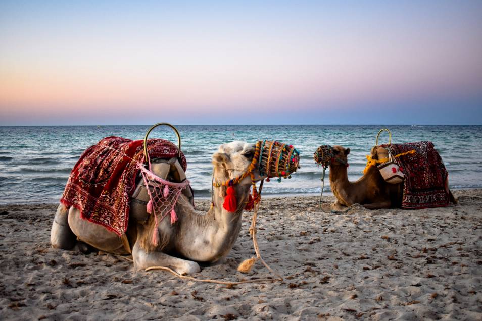 decouvrir tunisie