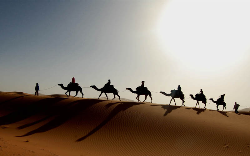 Trekking & nuit sous les étoiles au milieu du Sahara à Sabria by marhba.tn