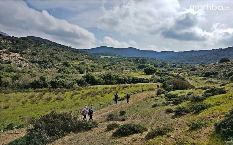 Sur la route des pins d'Alep Trek @ Sidi Medien Zaghouan