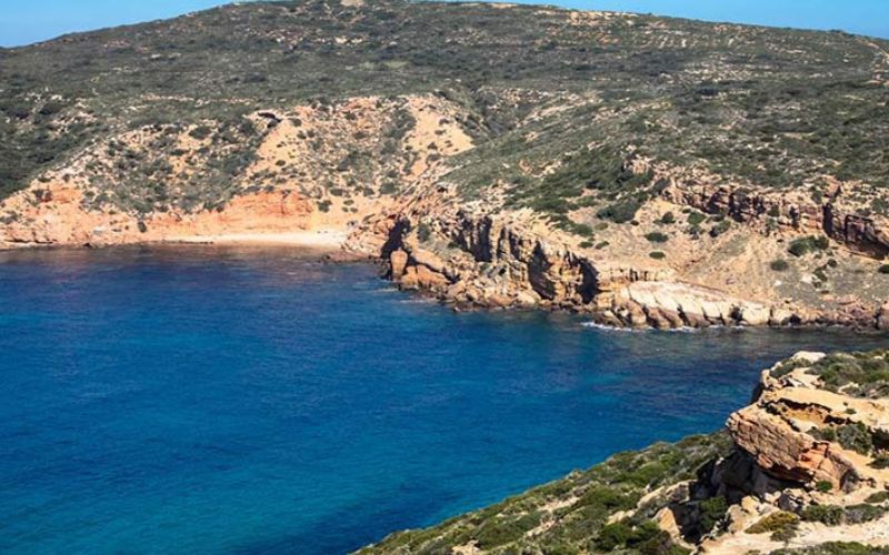 ras fartas