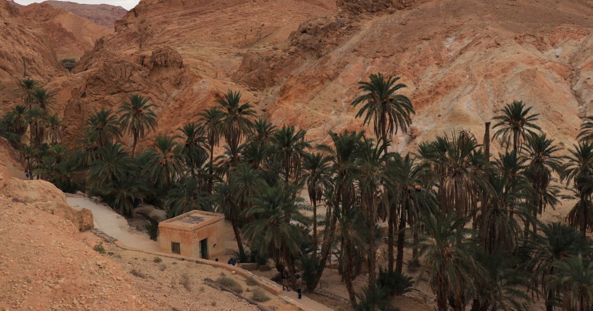 sud-tunisie_2.jpg