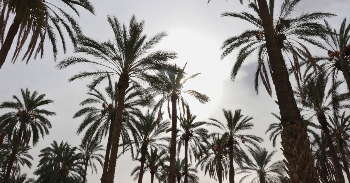 sud-tunisie_3.jpg