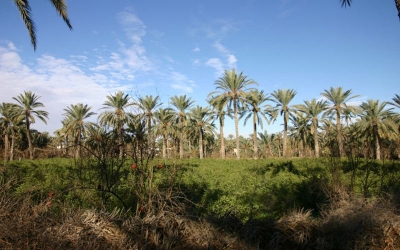 Gabès Tunisie